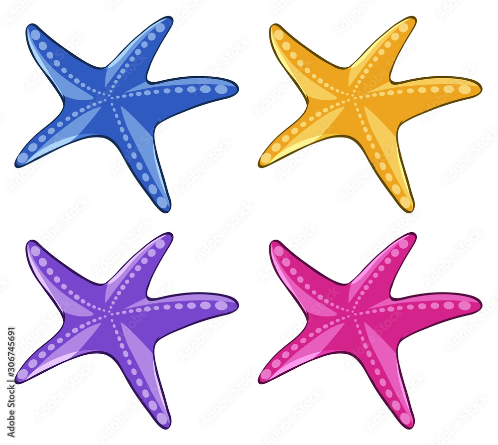 Wall mural starfish in four different colors