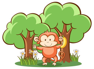 Cute monkey on white background