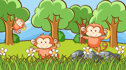 Scene with three monkeys in forest