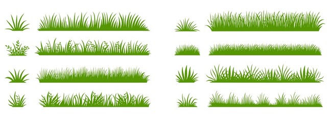 Fototapeta Green grass silhouette. Cartoon lines of plants and shrubs for boarding and framing, eco and organic logo element. Vector set spring field planting shapes lawn or borders garden on white background obraz