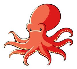 Cute octopus on white background