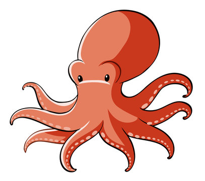 Red octopus on white background