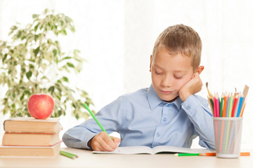 Young schoolboy is going to do homework