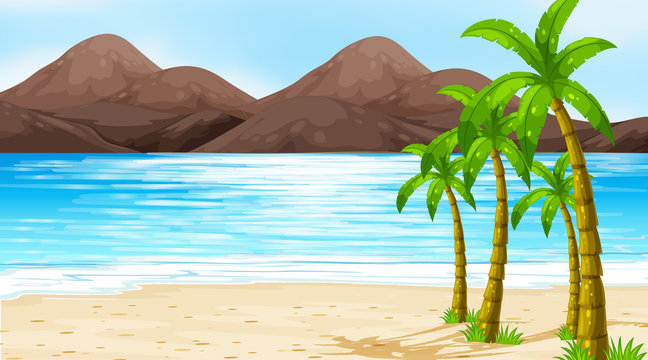 Scene with coconut trees on the beach