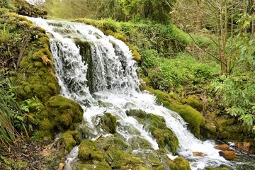 waterfall in forest