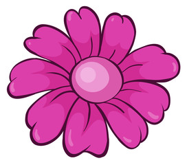 Single flower in pink color