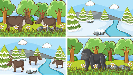 Background scenes of animals in the wild