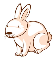 Obraz premium White rabbit on white background