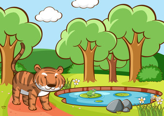 Scene with tiger by the pond