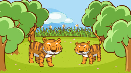 Obraz na płótnie Canvas Scene with two tigers in forest