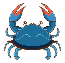 Blue crab on white background
