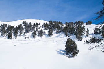 горы Кавказа Архыз