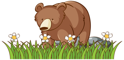 Isolated picture of grizzly bear in garden