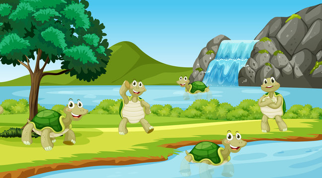 Scene with many turtles in the park