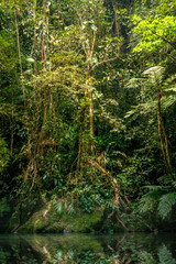 Brasilien Spiegelung 