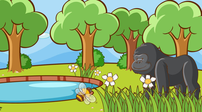 Scene with gorilla in forest