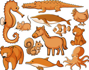 Many animals in orange color