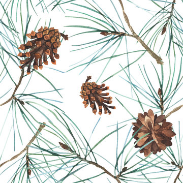 Watercolor Christmas pattern with pine-tree branch, cone isolated on white background, winter floral print. Stock illustration. Fabric wallpaper print texture.