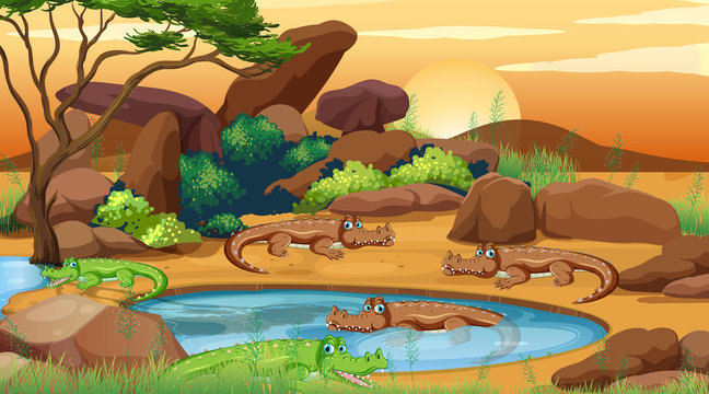 Scene with crocodiles by the pond