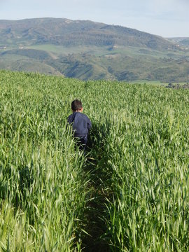 kid wearing blue coat walking in a green wheat field