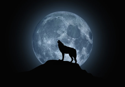 Silhouette of a howling wolf on a background of the full moon