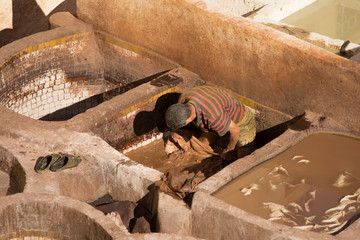 workers in the ancient leather tanning pits in Fez morocco