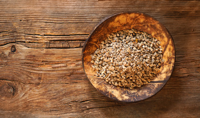Tomato seeds on the plate, copy space