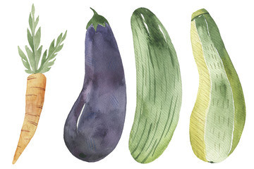 illustration of vegetables on a white background