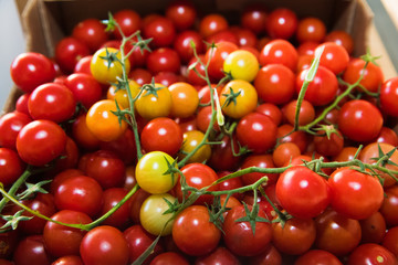 Fresh red cherry tomatoes as a background
