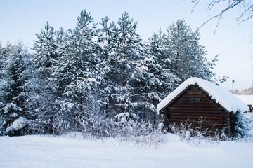 деревня снежная