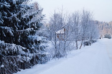 зимняя дорога в деревню