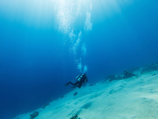 scuba diver swimming under water. summer concept