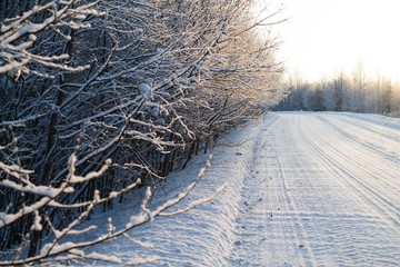 зимняя дорога