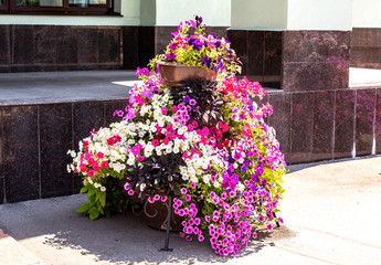 Fototapeta na wymiar Decorative flowers at the city street in summer