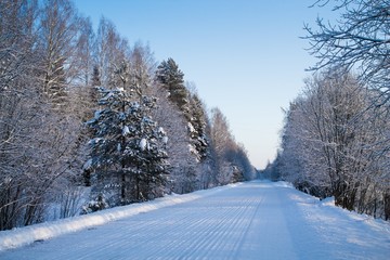 зимняя лесная дорога