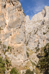 Hikers by the bottom of awesome mountain