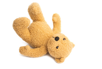 soft bear toy isolated