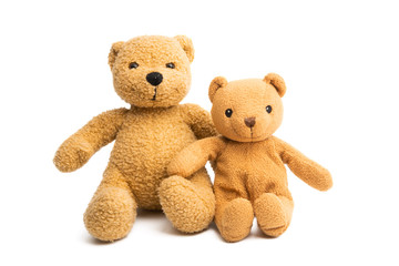 soft bear toy isolated