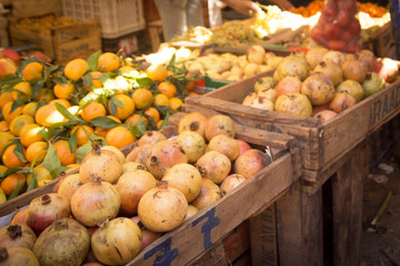 vegetable market in  Fez, morocco