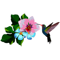 tropical composition, flowers of orchids with leaves, bird hummingbird, isolate on a white background