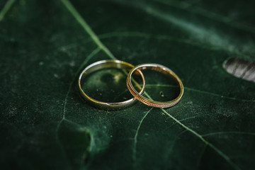wedding rings