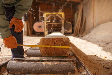 Woodworker with measuring tape measures the log