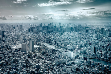 Aerial skyline panorama of Tokyo city in Japan. Skyscrapers by the river. Example of dense urban...