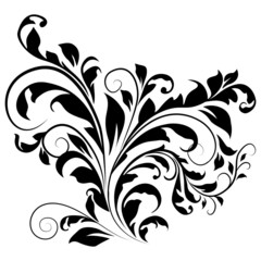 pattern in classic style, isolate on a white background, baroque ornament