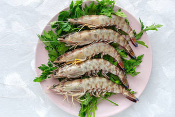 Fresh raw fish from above on white background. Seafood. Flat lay. Octopus. Prawns. St. Peter