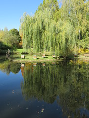 Fototapete bei efototapeten.de bestellen   