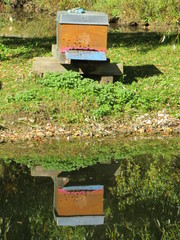 Fototapete bei efototapeten.de bestellen   