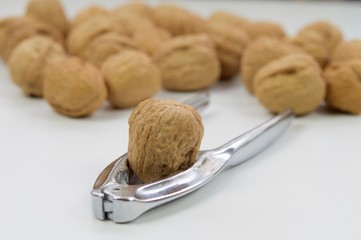 Group of walnuts in macro view isolated