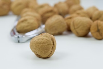 Group of walnuts in macro view isolated