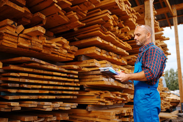 Carpenter in uniform check boards on sawmill